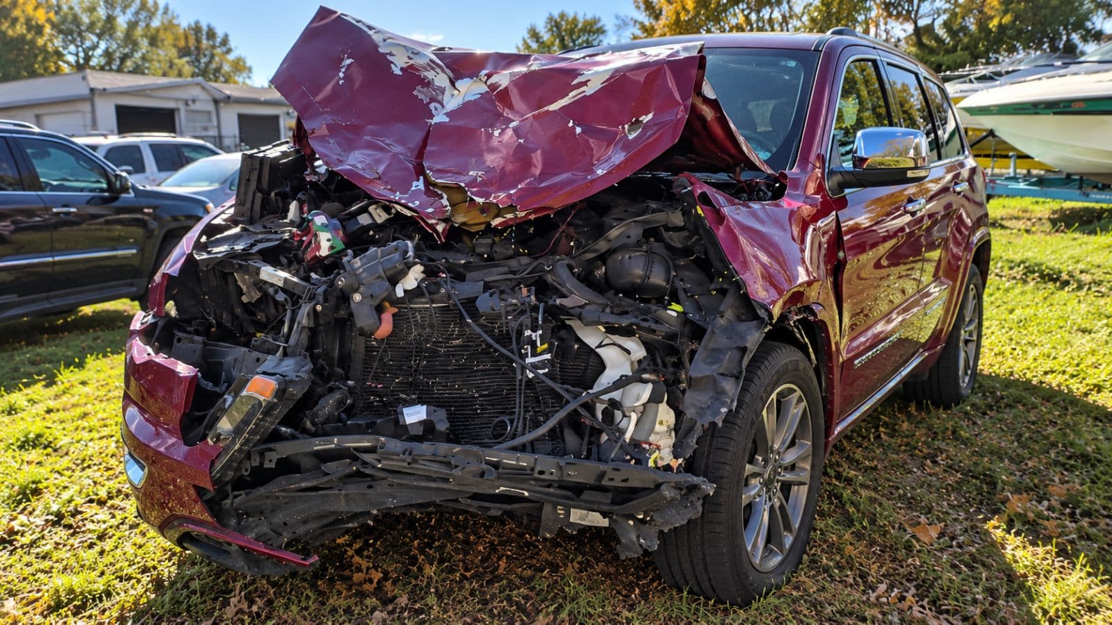 Submitted photo for: Water buffalo killed in U.S. Route 11 crash in Stockholm